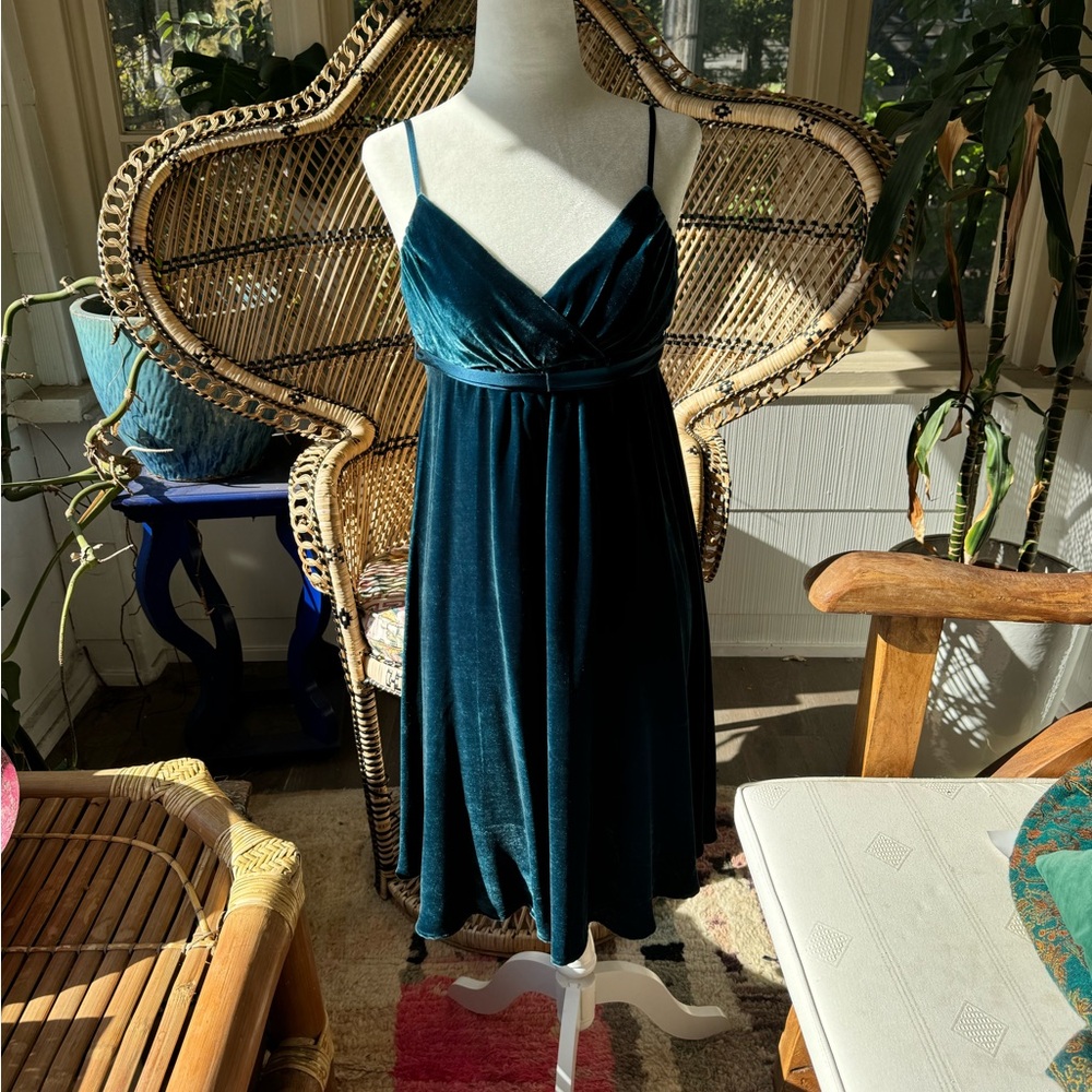 Vintage Betsey Johnson velvet dress